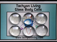Glass Body Cells