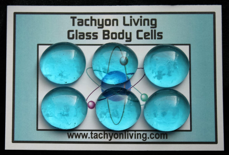 Glass Body Cells