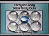 Glass Body Cells